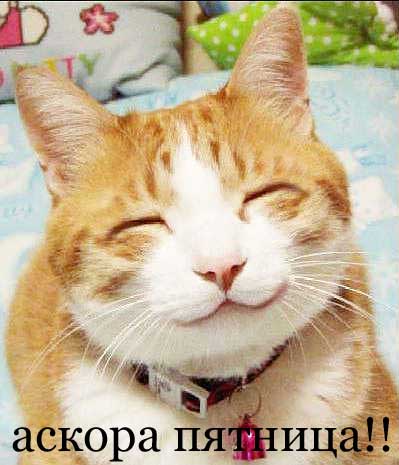 ����� ������. �����