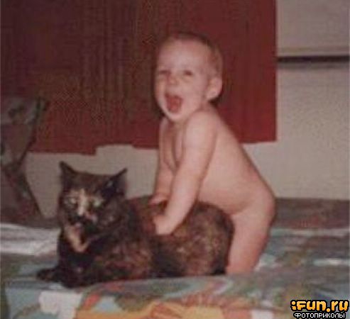 ����������� � ������ � ��������� (��������� )