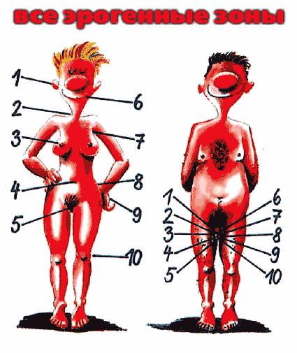 ����� ������. �����