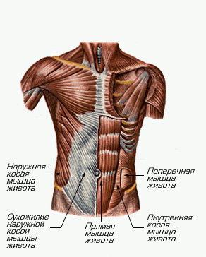 ����� ������. �����