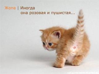 ����������� (������ � �� �����)