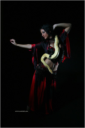 %D1%EA%E0%E6%E8%F2%E5%2C %EA%F2%EE %E7%ED%E0%E5%F2 %EE %F1%F2%E8%EB%E5 gothic bellydance%3F