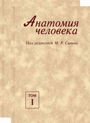 Бодибилдинг ролики скачать