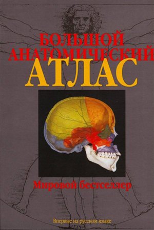 Бодибилдинг и атлетизм
