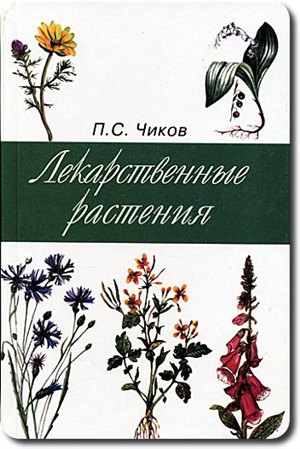 Смотреть женский бодибилдинг