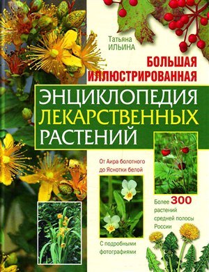 Позы в бодибилдинге